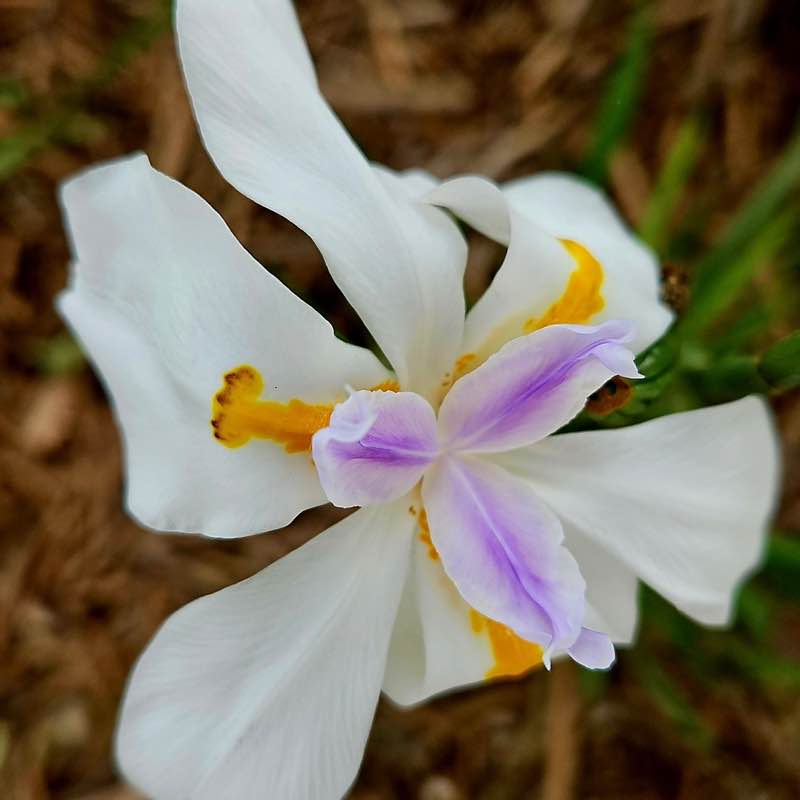 Yvonne Hudson post 2