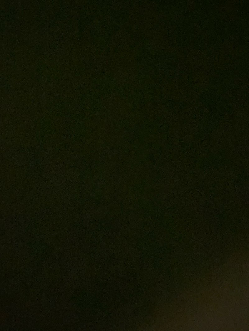 walking near me in Walthall Memorial Park in winter