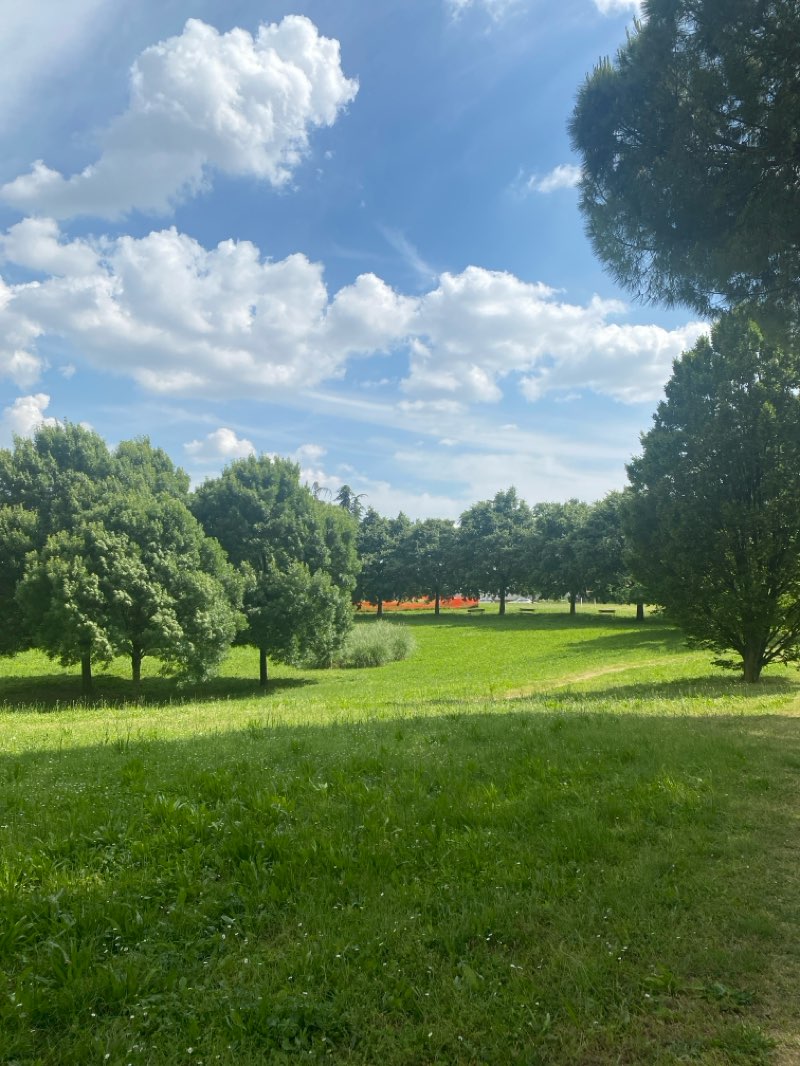 walking near me in Parco giochi dell'Amicizia in spring