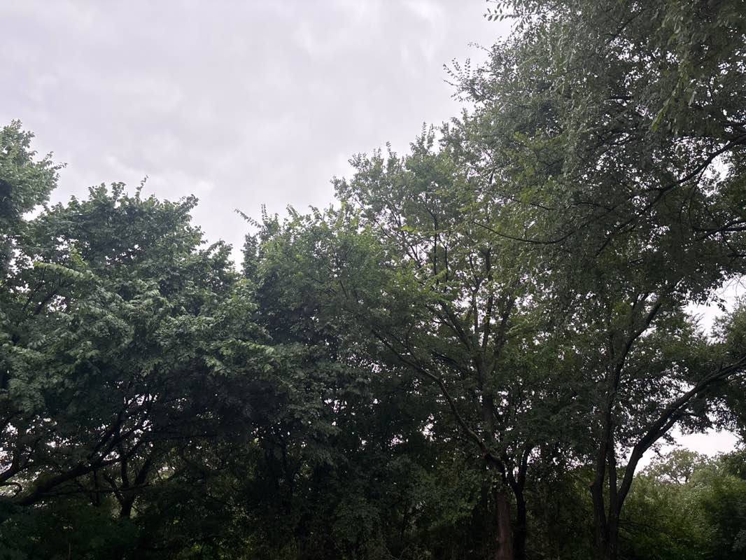 walking near me in Point Vista Park in summer