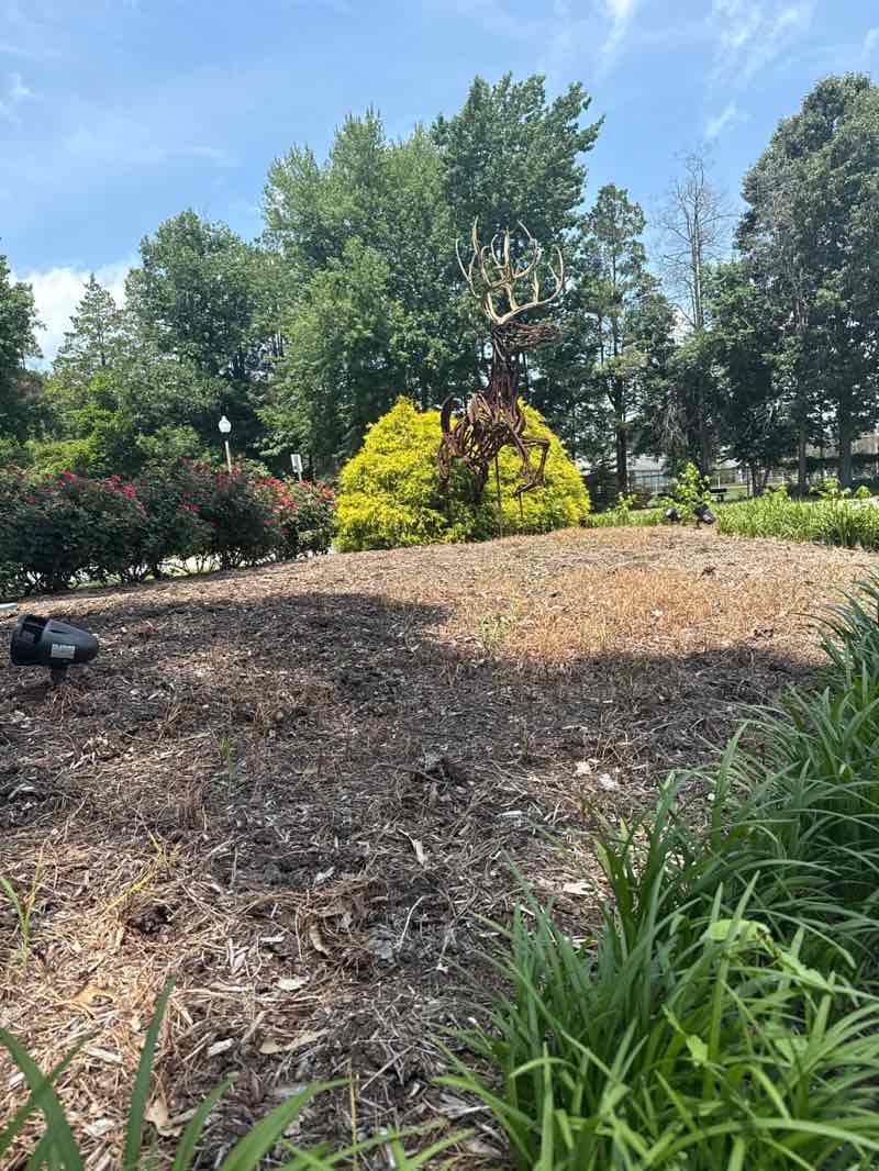 walking near me in Deer Park in summer