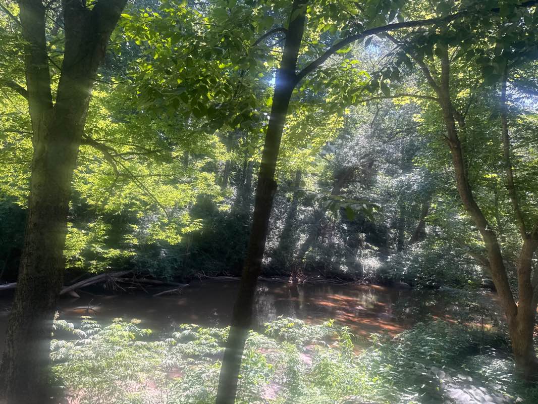 walking near me in Cancer Survivors Park in summer