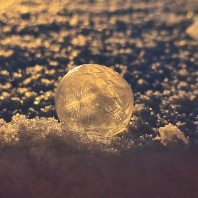 Plushies on the run Stefanie Stebbiegraphie post image