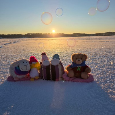 Plushies on the run Stefanie Stebbiegraphie post image