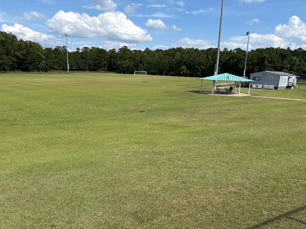 walking near me in Multipurpose Fields in autumn