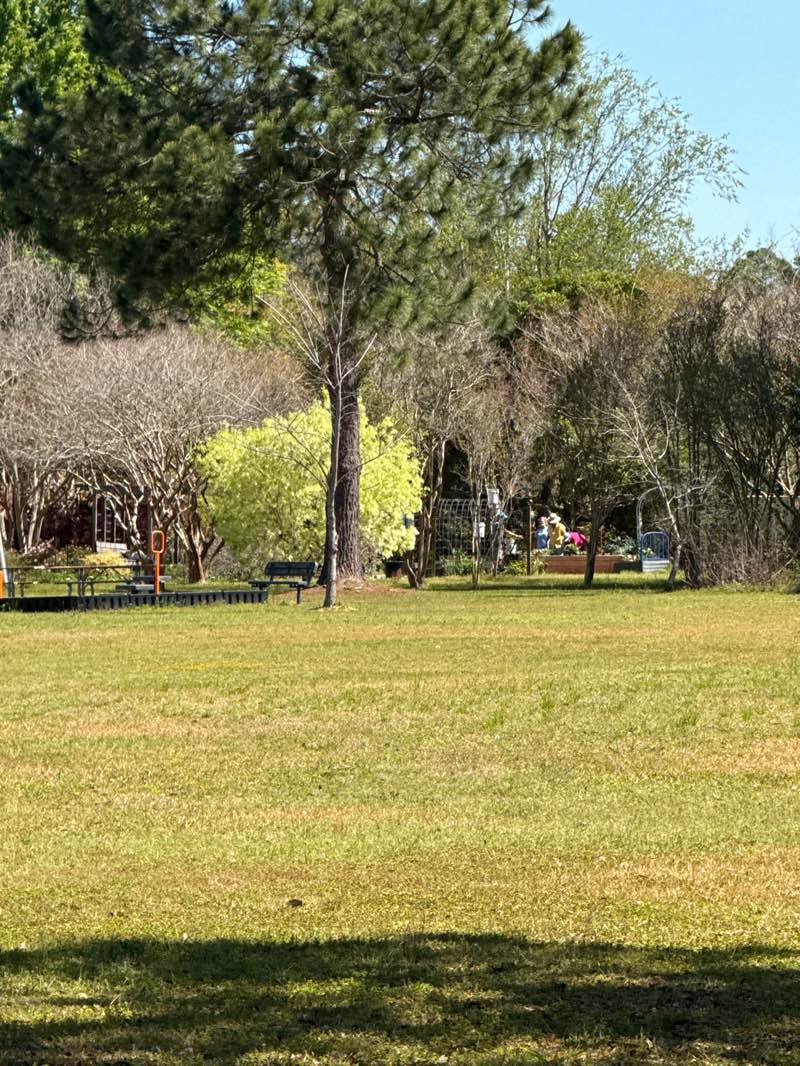 walking near me in Extention Office park in spring