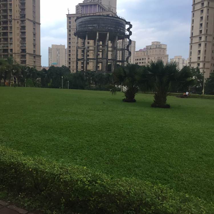 Naveen Sandra post 1