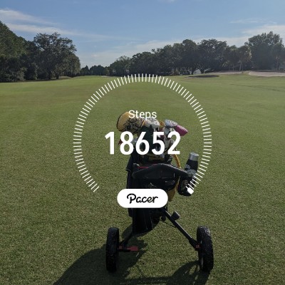 Ms Golfer post 1