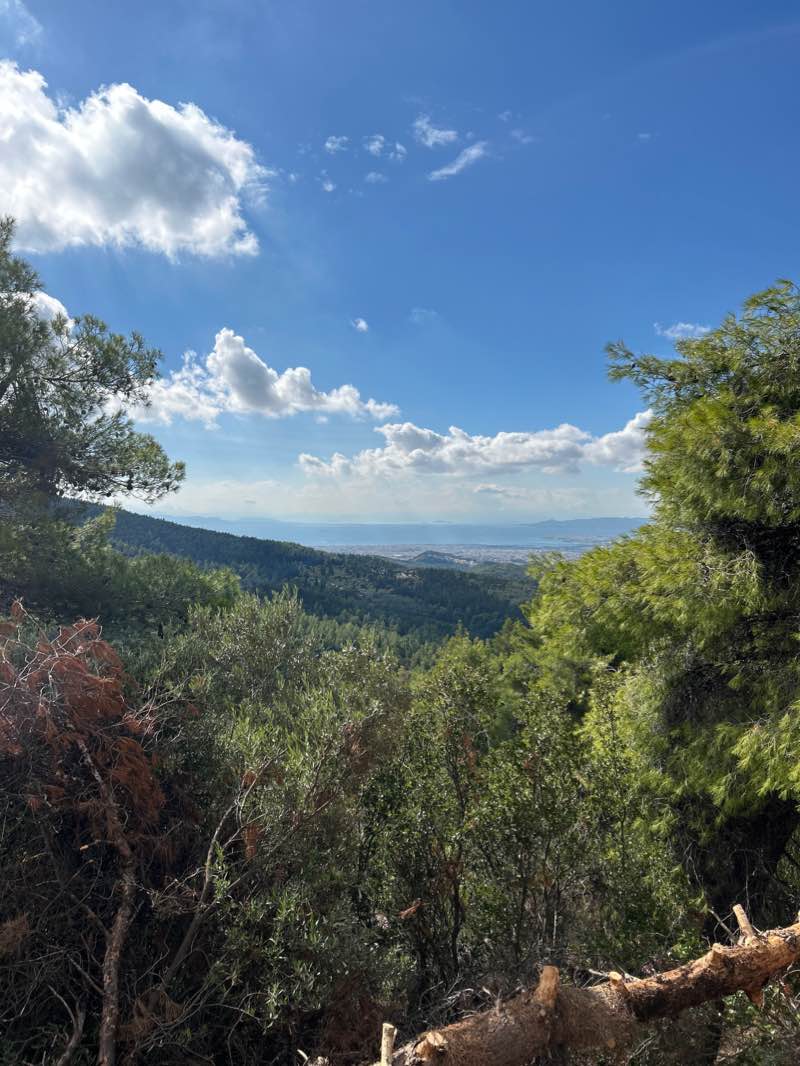 walking near me in Πάρκο Αλεξάνδρου in winter