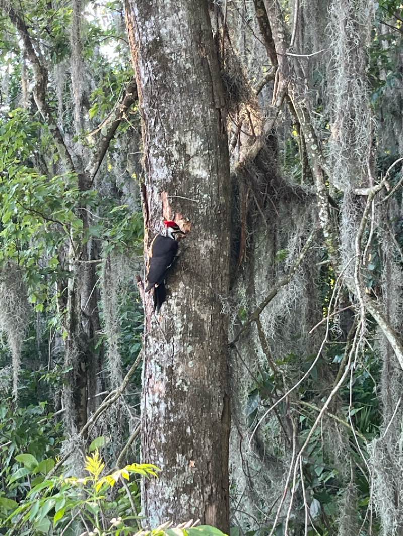 walking near me in Eagle Harbor Soccer Complex in spring