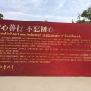 张医生