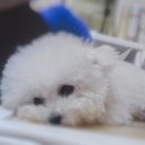 小镇淳朴民风集大成者