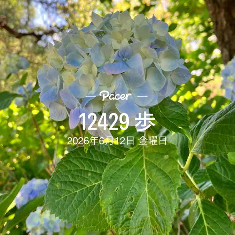 taka510 post 1