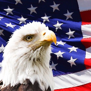 Red White & Blue 🇺🇸