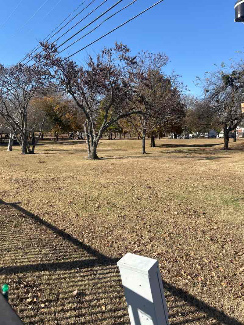 walking near me in Prague Park in autumn