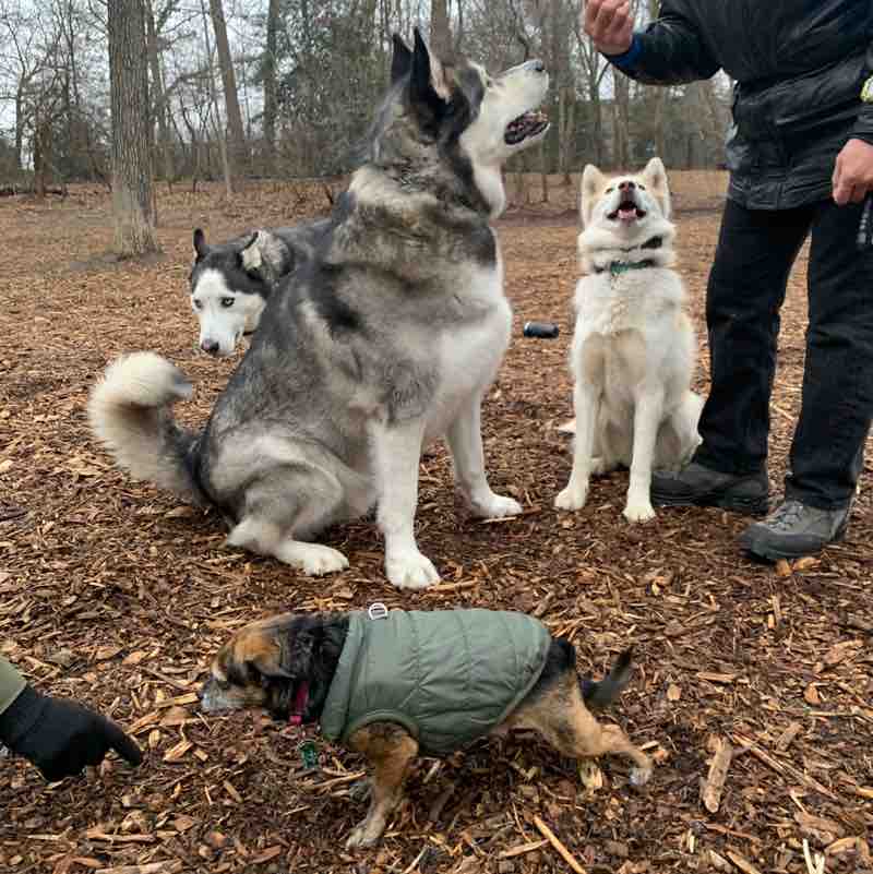 Ronald Rivera post 2