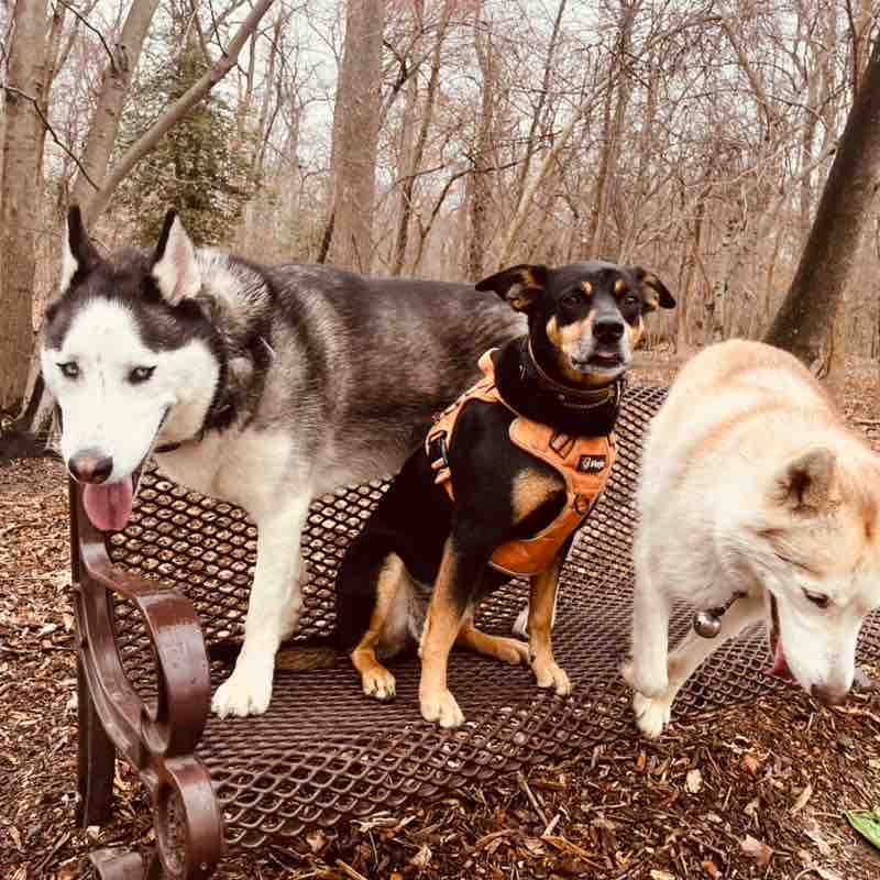 Ronald Rivera post 2