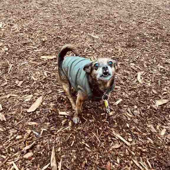 Ronald Rivera post 3