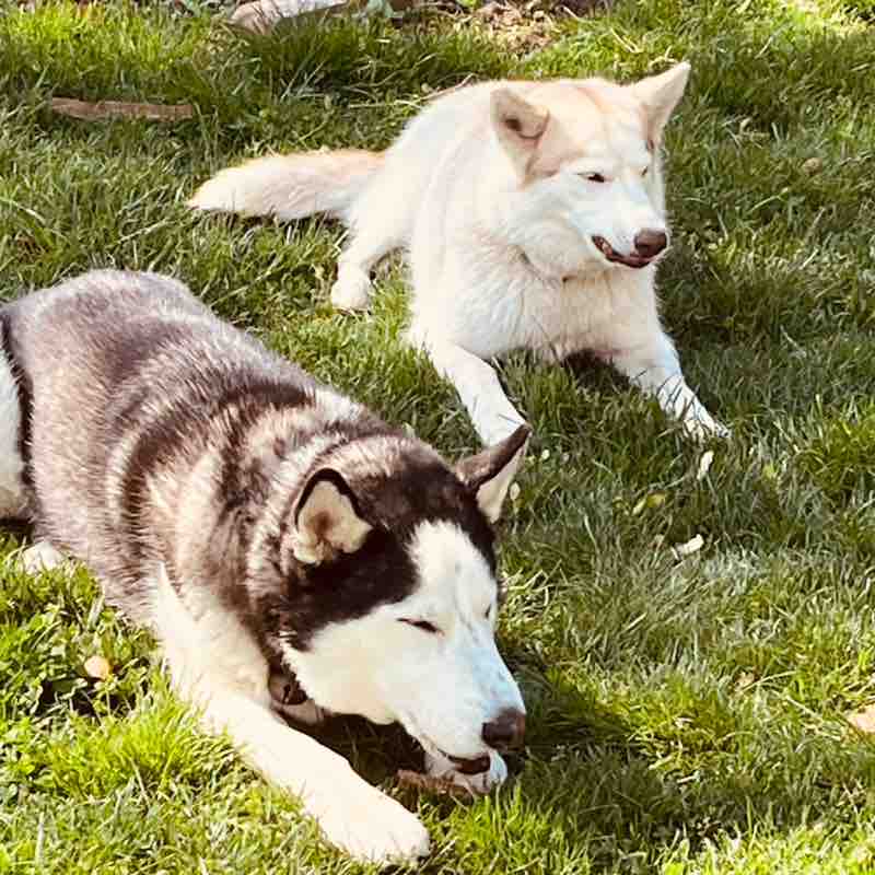 Ronald Rivera post 3