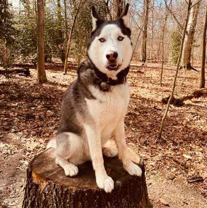 Ronald Rivera post 2