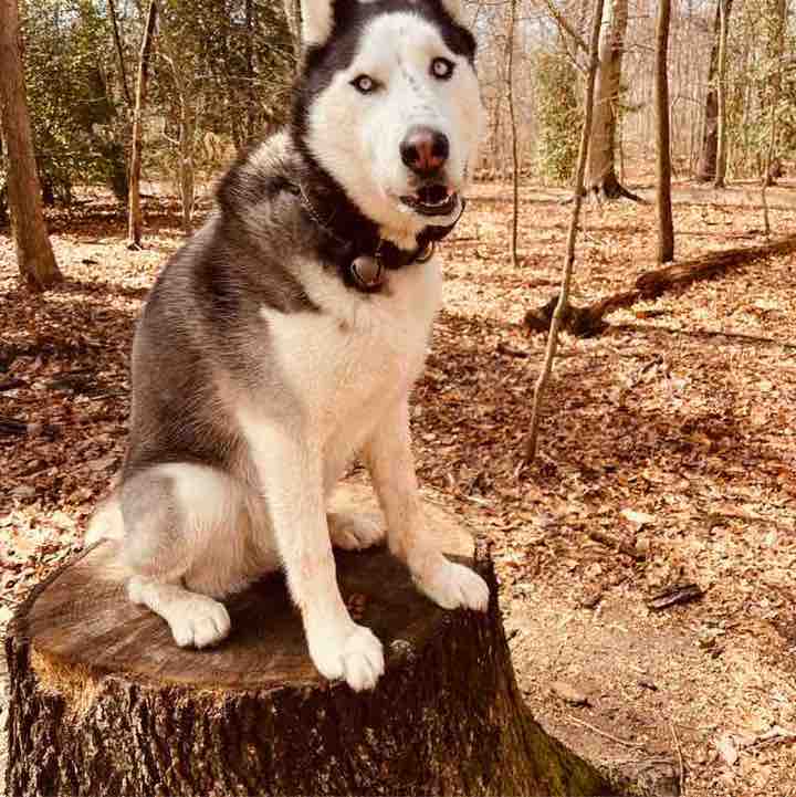 Ronald Rivera post 3