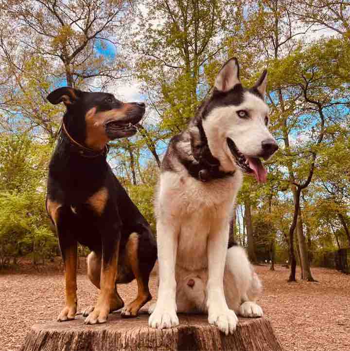 Ronald Rivera post 3