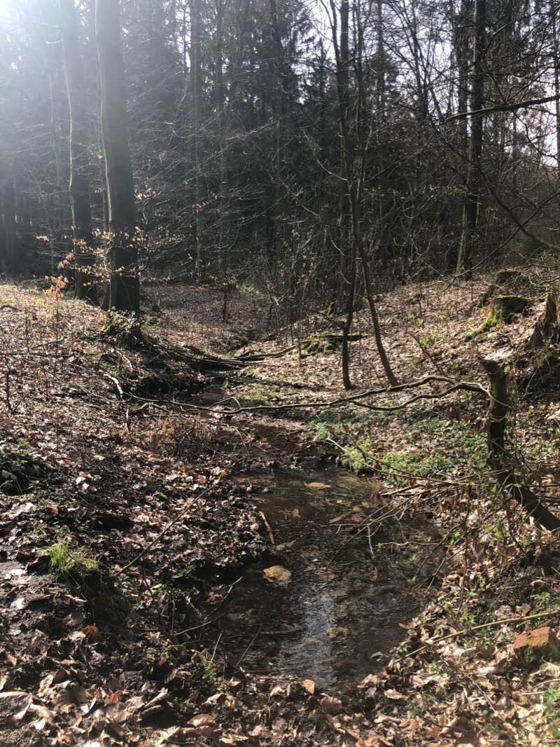 walking near me in Freibad Bad Iburg in winter