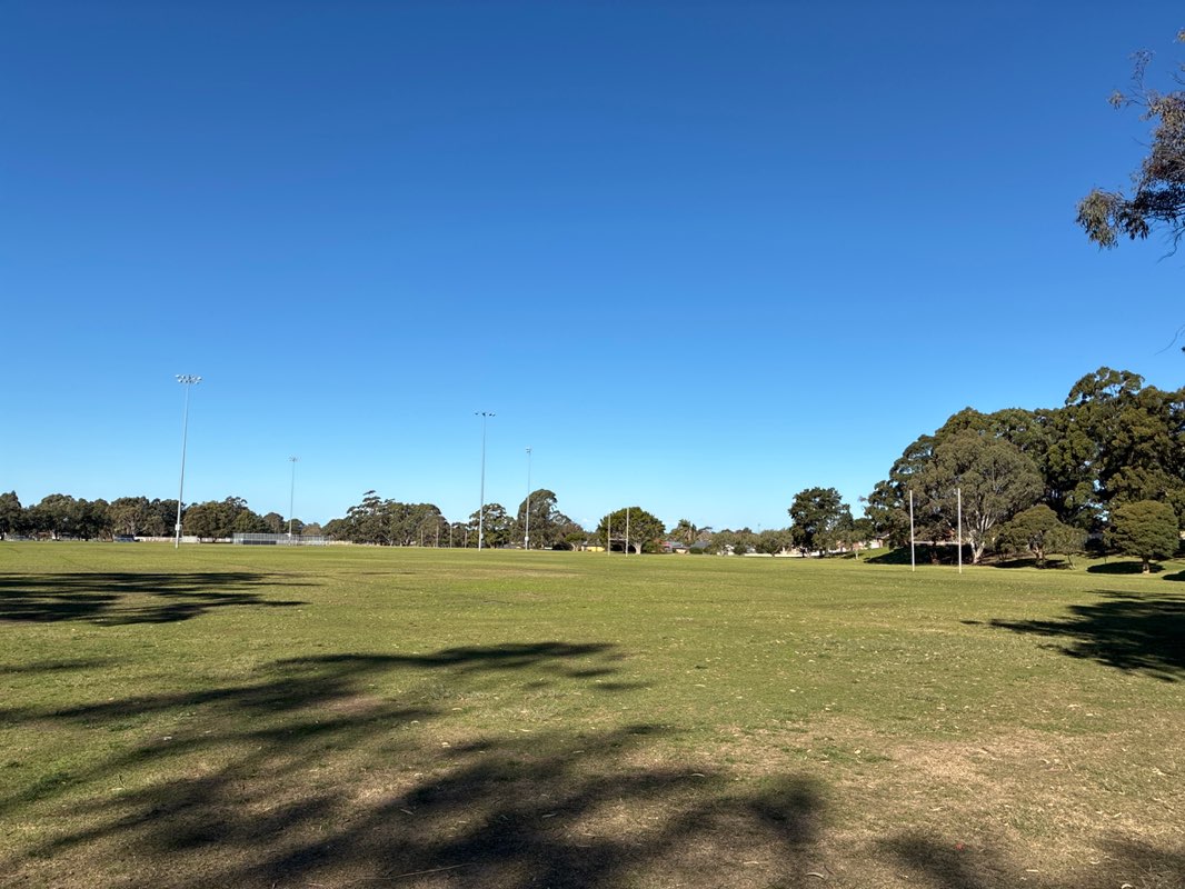 walking near me in Hollymount Park in winter