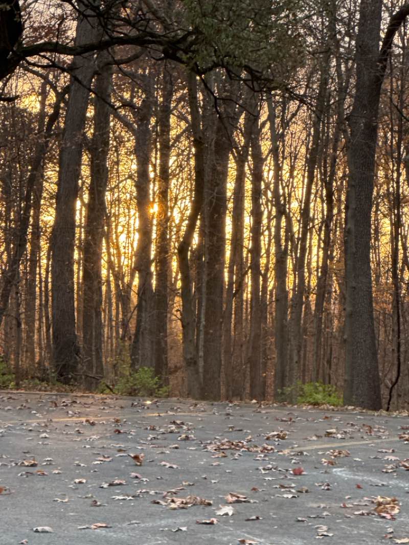 walking near me in Mounds State Park in autumn