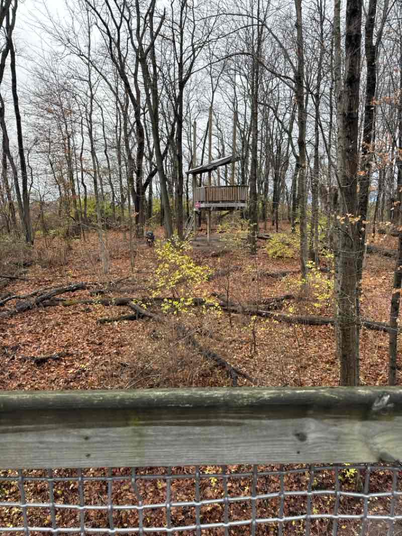 walking near me in Flat Fork Creek Park in autumn