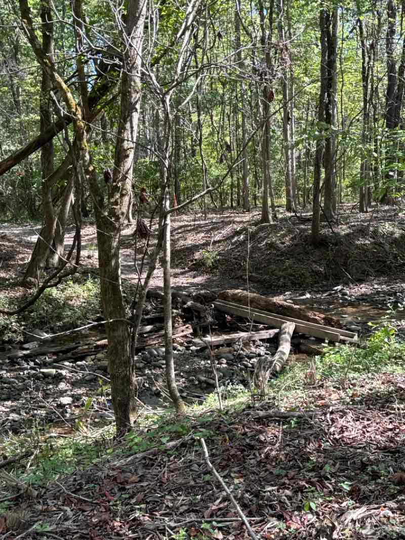 walking near me in Fishers Heritage Park at White River in autumn