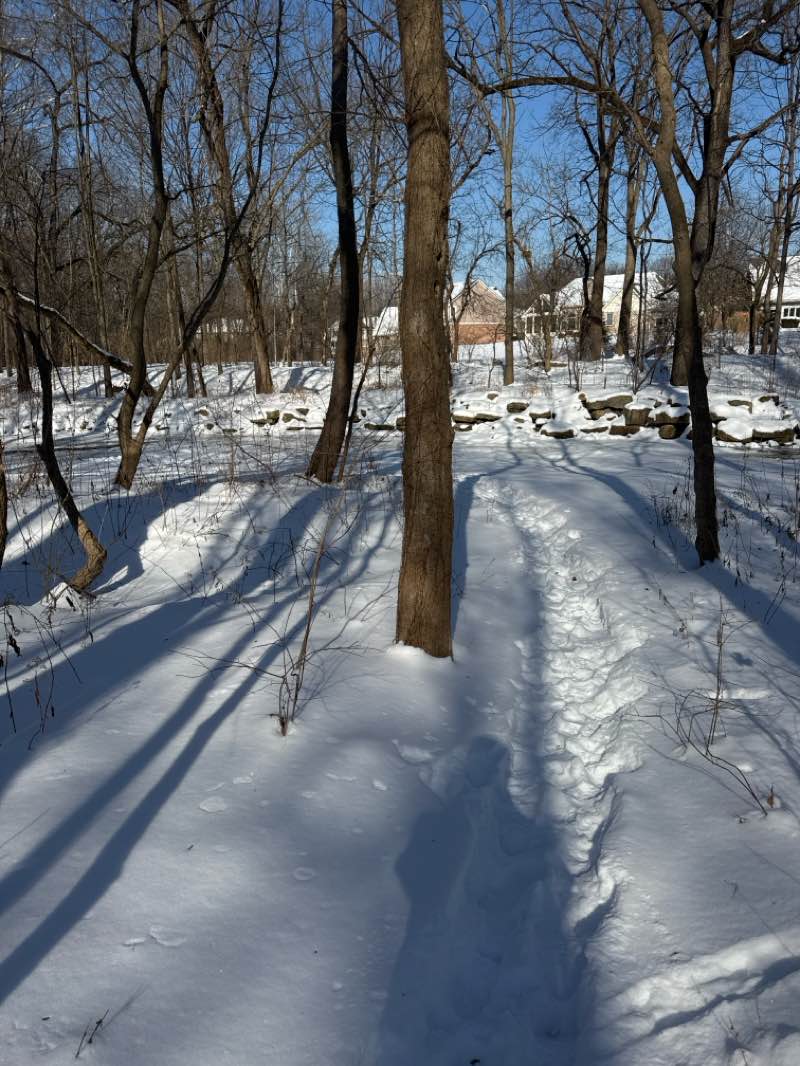 walking near me in The Flowing Well in winter