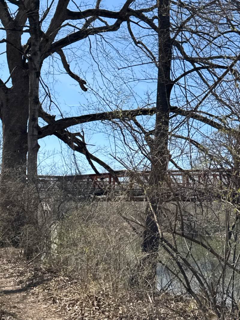 walking near me in Hazel Landing Park in spring