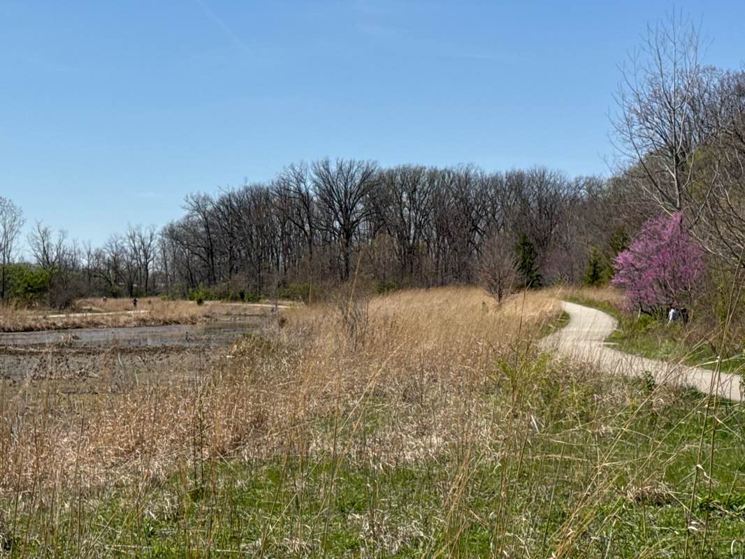 walking near me in Central Park in spring