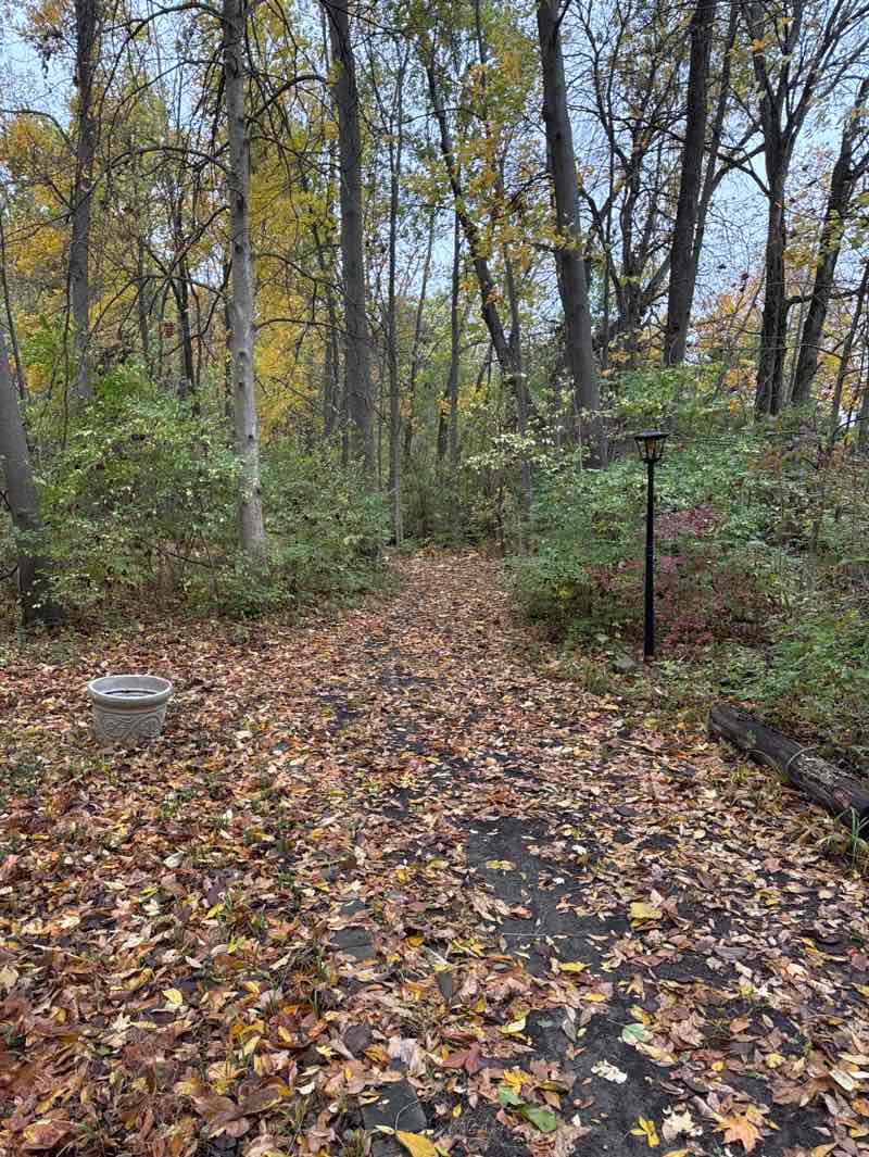 walking near me in Prayer Path in autumn