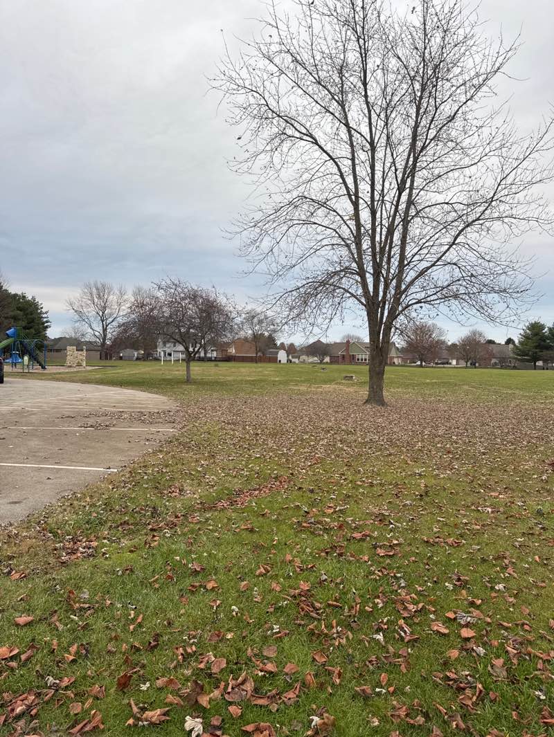 walking near me in Clearwick Park in autumn