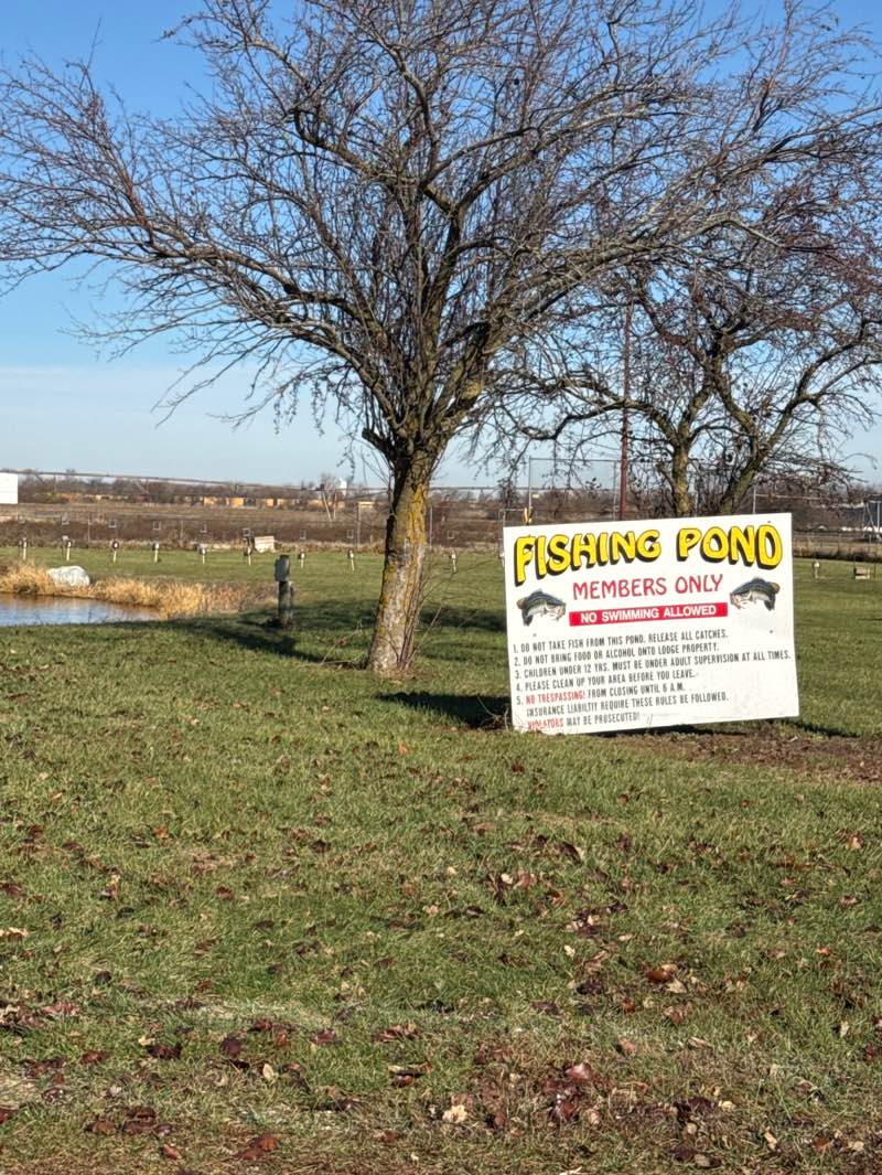 walking near me in Moose Lodge Park & Recreation Area in autumn