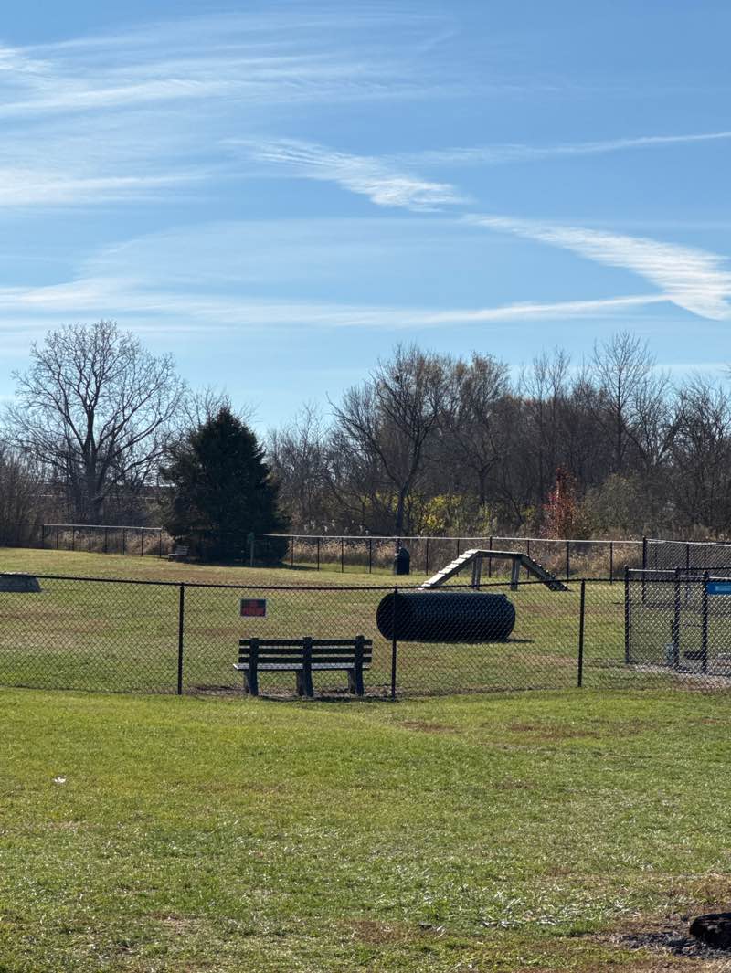 walking near me in Cicero Township Dog Park in autumn