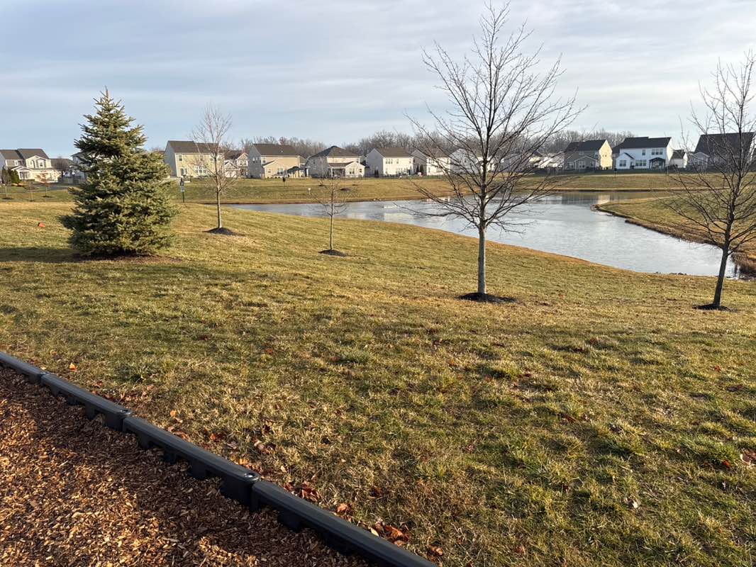walking near me in Harvest Park Community Park in winter