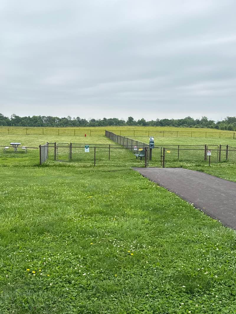 walking near me in Sugar Creek Township Park in summer