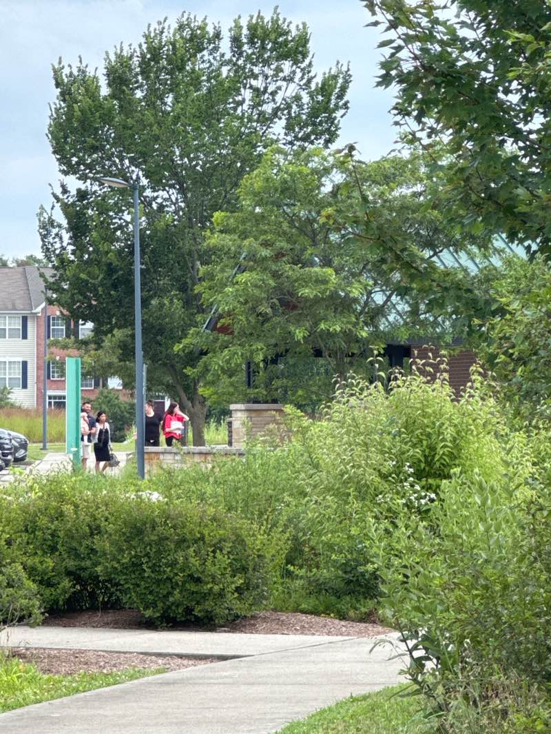 walking near me in Founders Park in summer