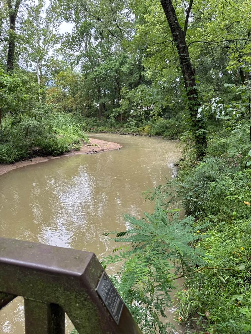 walking near me in The Flowing Well in autumn