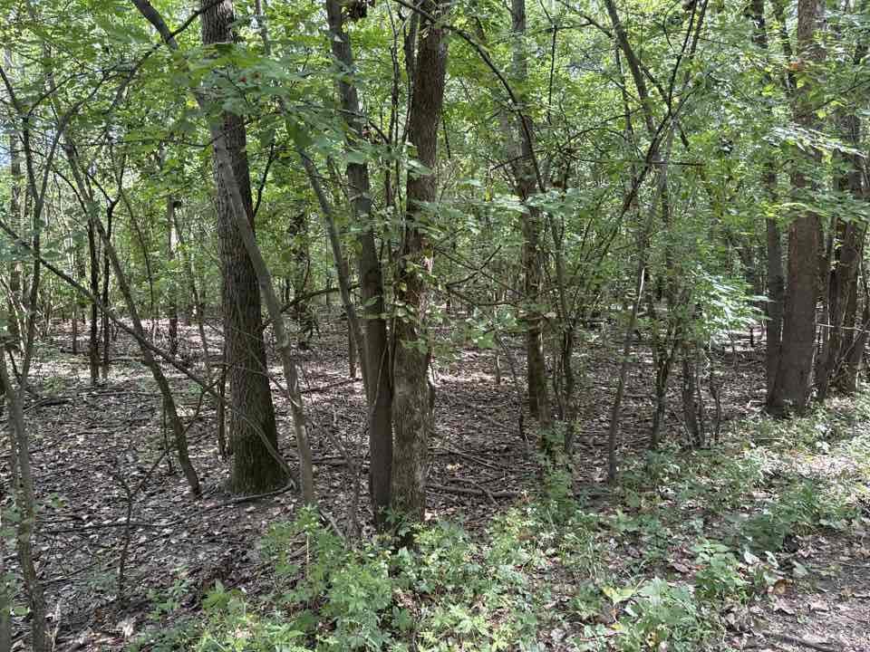 walking near me in River Heritage Park in autumn