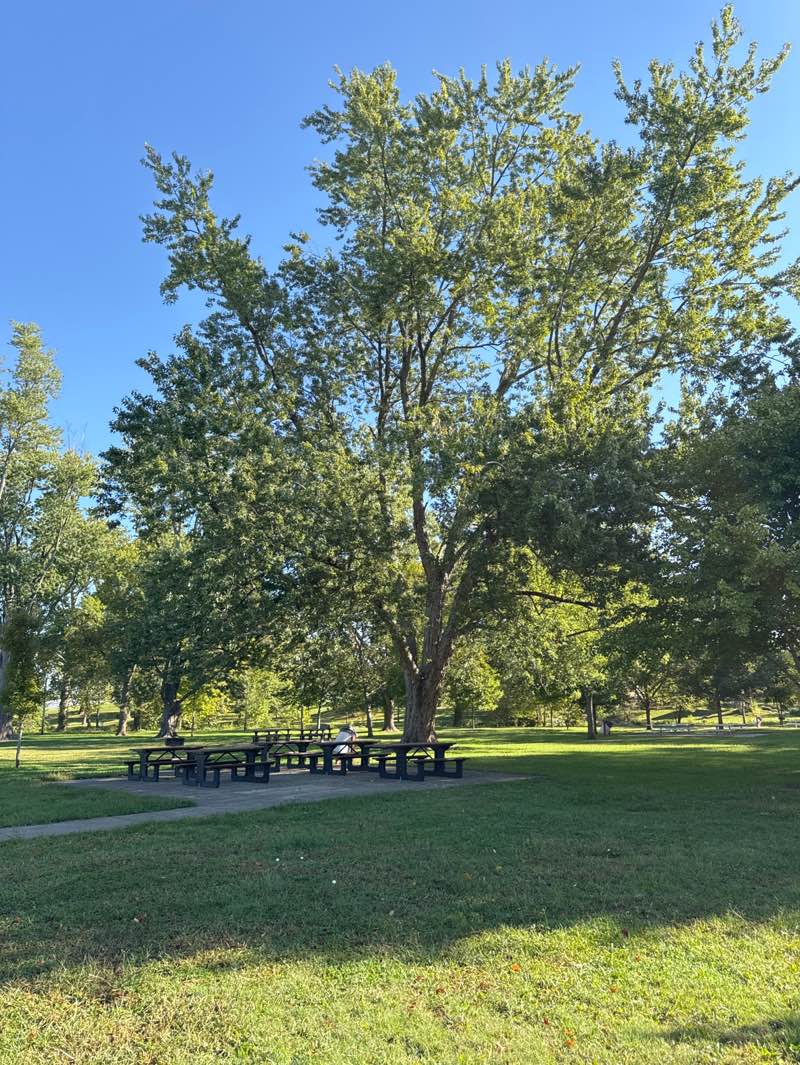 walking near me in Riley Memorial Park in autumn