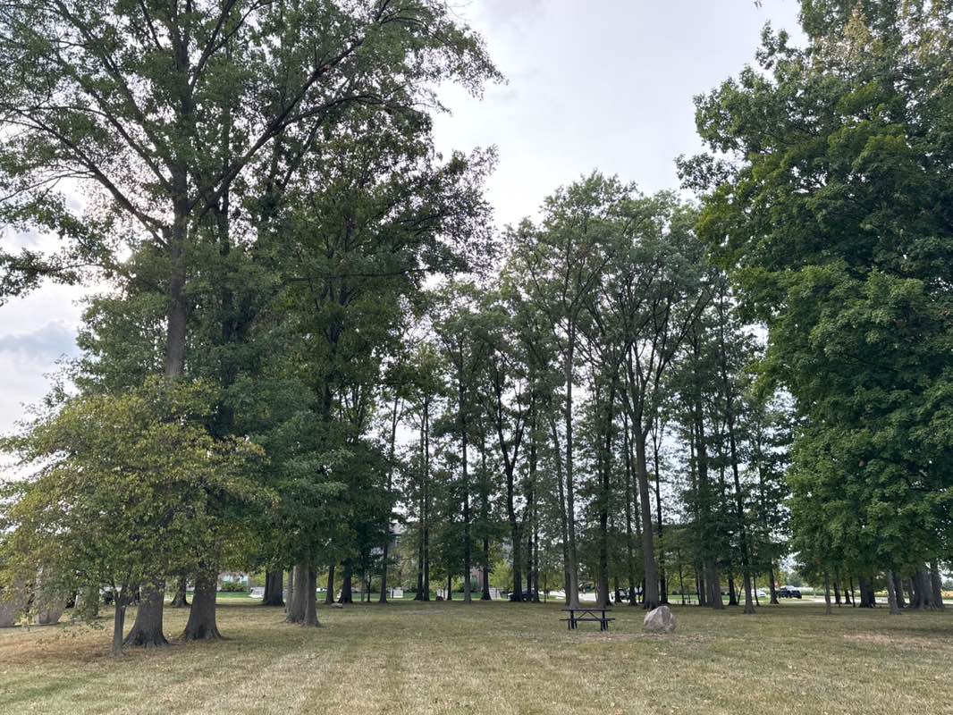 walking near me in Witten Park in autumn