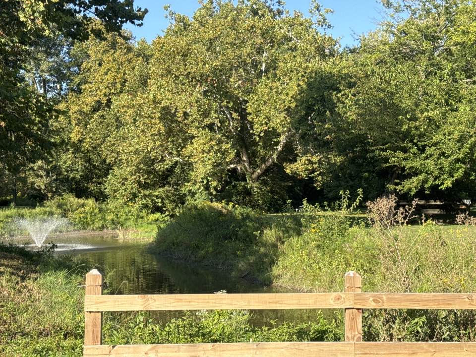 walking near me in White River Campground in autumn