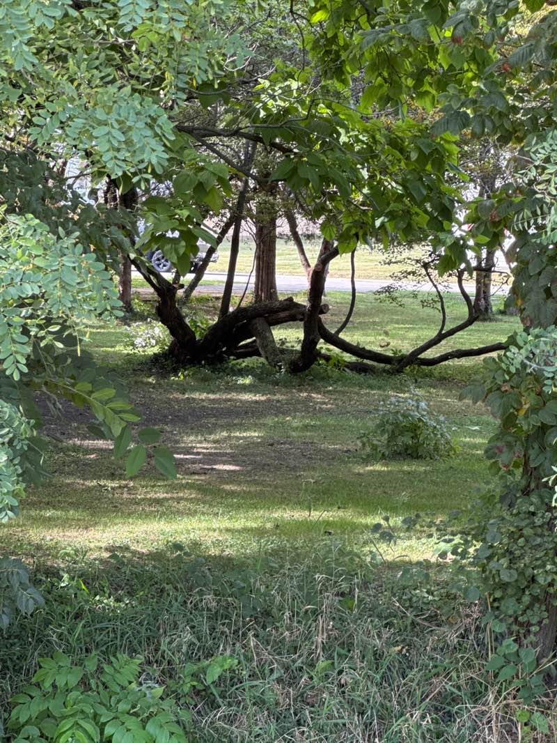 walking near me in Landmark Park in autumn