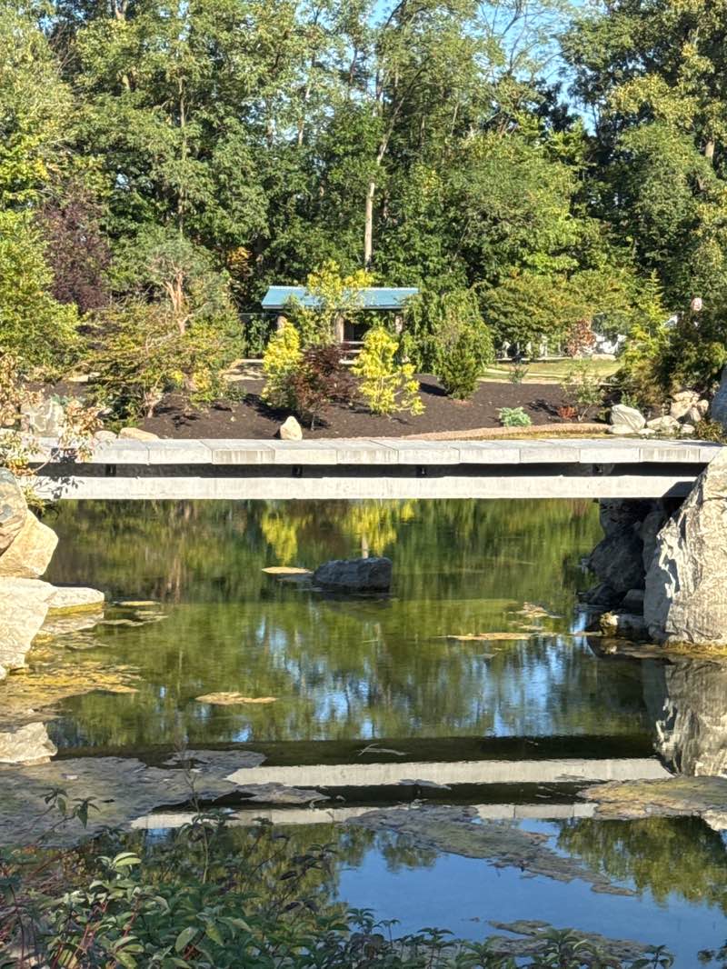 walking near me in Kawachinagano Japanese Garden in autumn