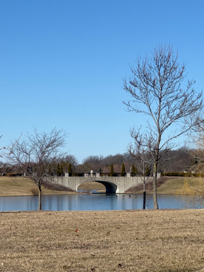 walking near me in Coxhall Gardens in winter