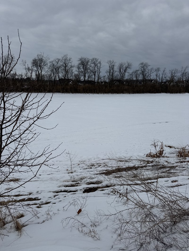 walking near me in Hamilton Proper Park in winter